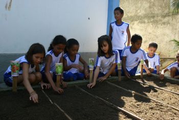 Escolas de ensino fundamental de todo o pais têm reservados espaços para o cultivo de hortas escolares pelos estudantes 