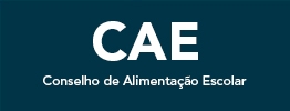 CAE VIRTUAL