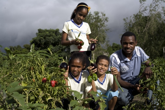 FNDE participará de ciclo de palestras da USP sobre alimentação escolar e agricultura familiar