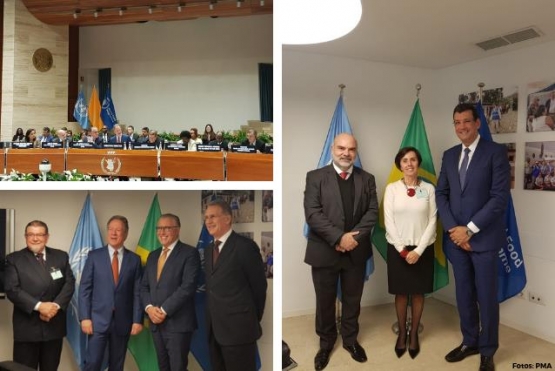Brasil e PMA discutem cooperação Sul-Sul em Roma