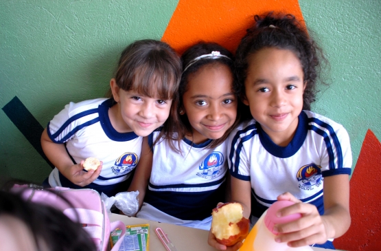FNDE participa de troca de experiências sobre alimentação escolar durante a pandemia em encontro virtual com diferentes países